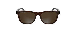 L6060S