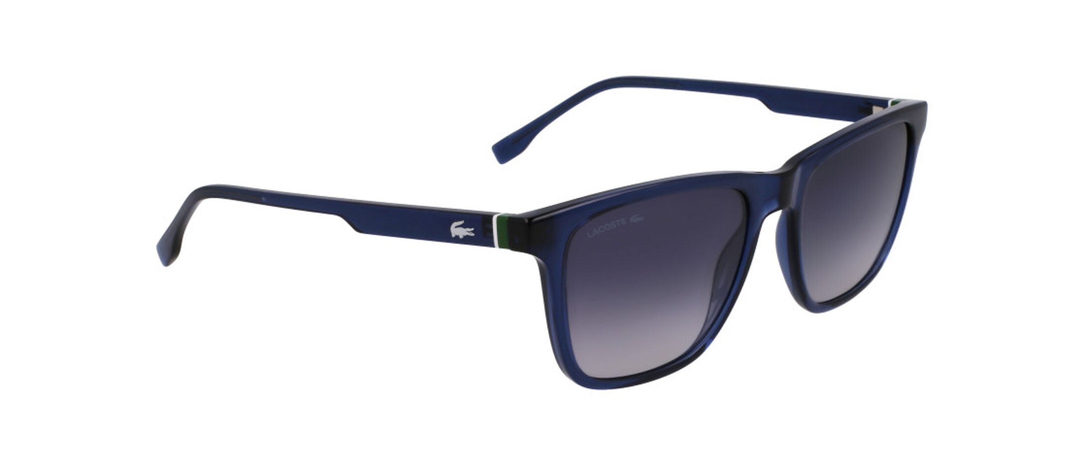L6041S