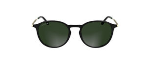 L6061S