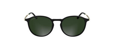 L6061S