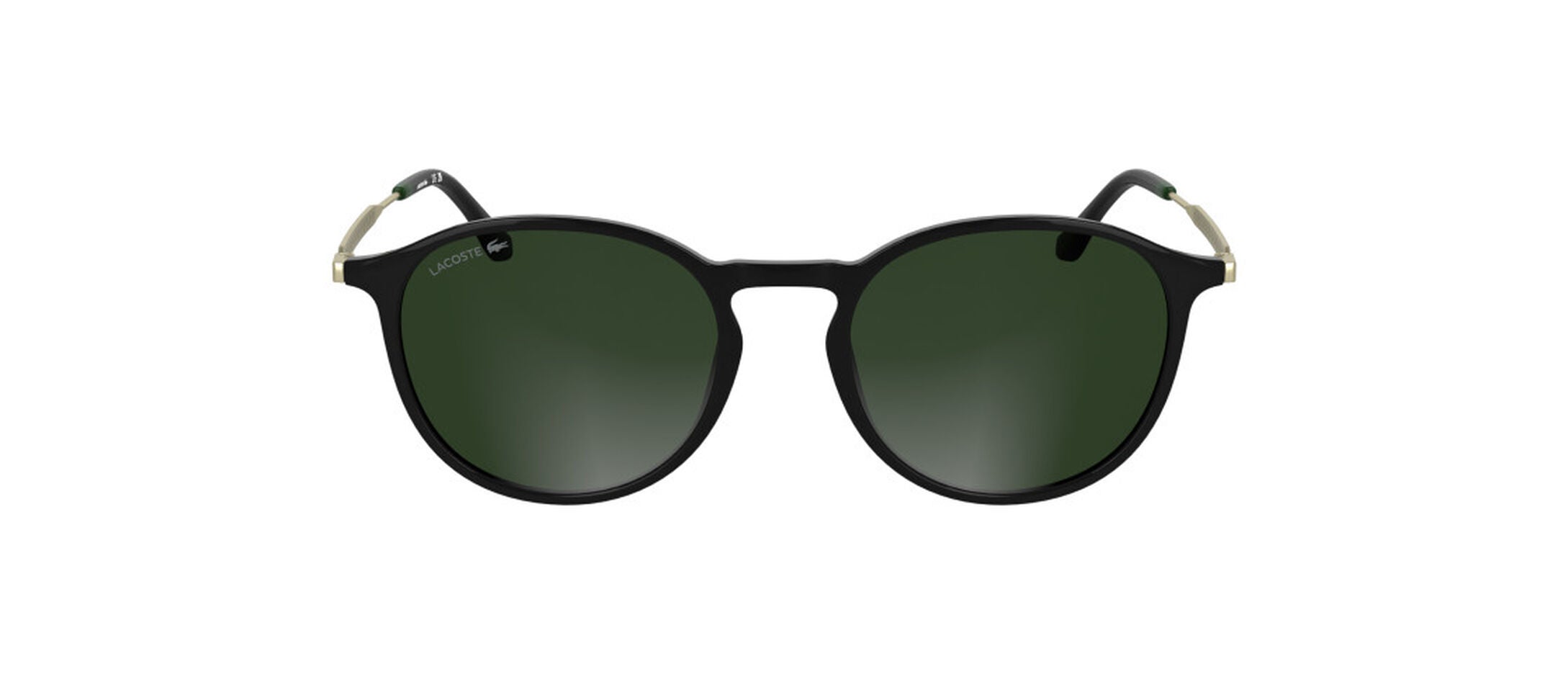 L6061S