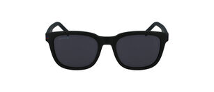L958S