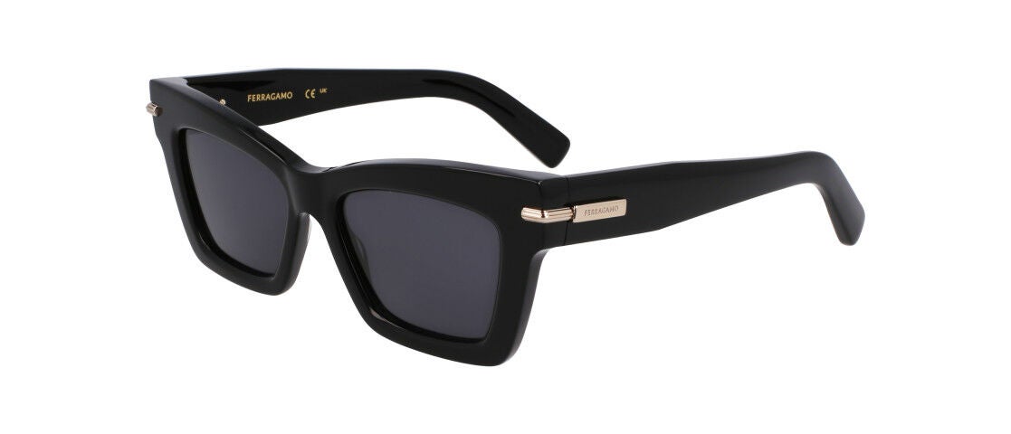 Ferragamo SF2031S Sunglasses | Prescription and Non-RX Lenses