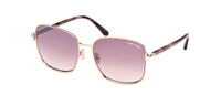 FERN FT1029