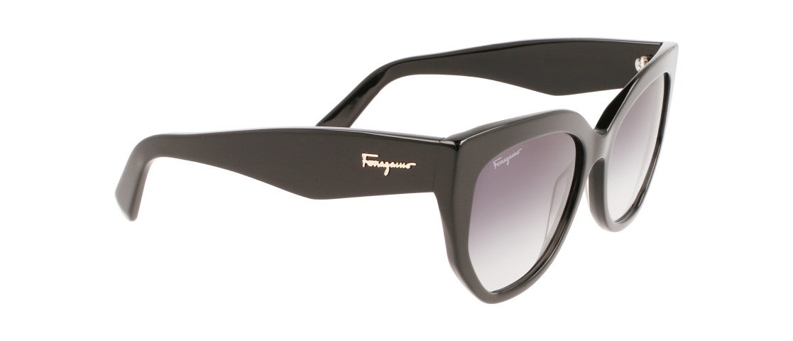 mens ferragamo sunglasses