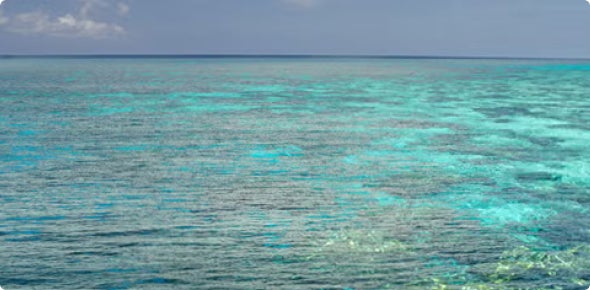Scenic view without polarized sunglasses; strong glare visible